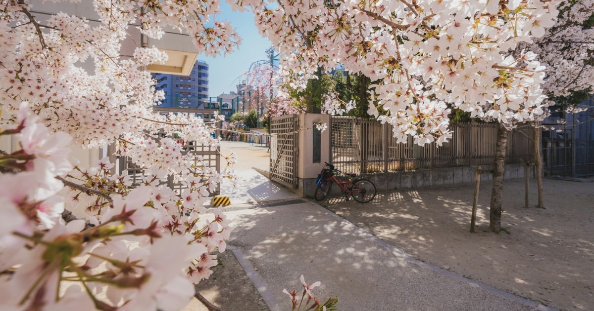 Những dấu hiệu cảnh báo trường Nhật ngữ kém chất lượng